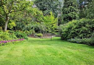 Optimiser l'expérience du jardin à Vendegies-au-Bois